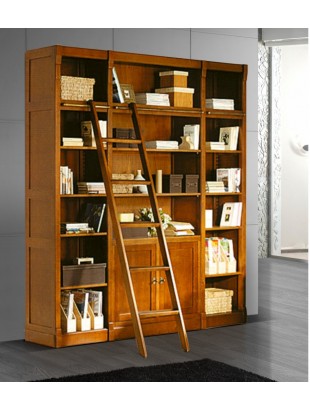 http://www.commodeetconsole.com/2869-thickbox_default/bibliotheque-antiquaire-casiers-2-portes.jpg